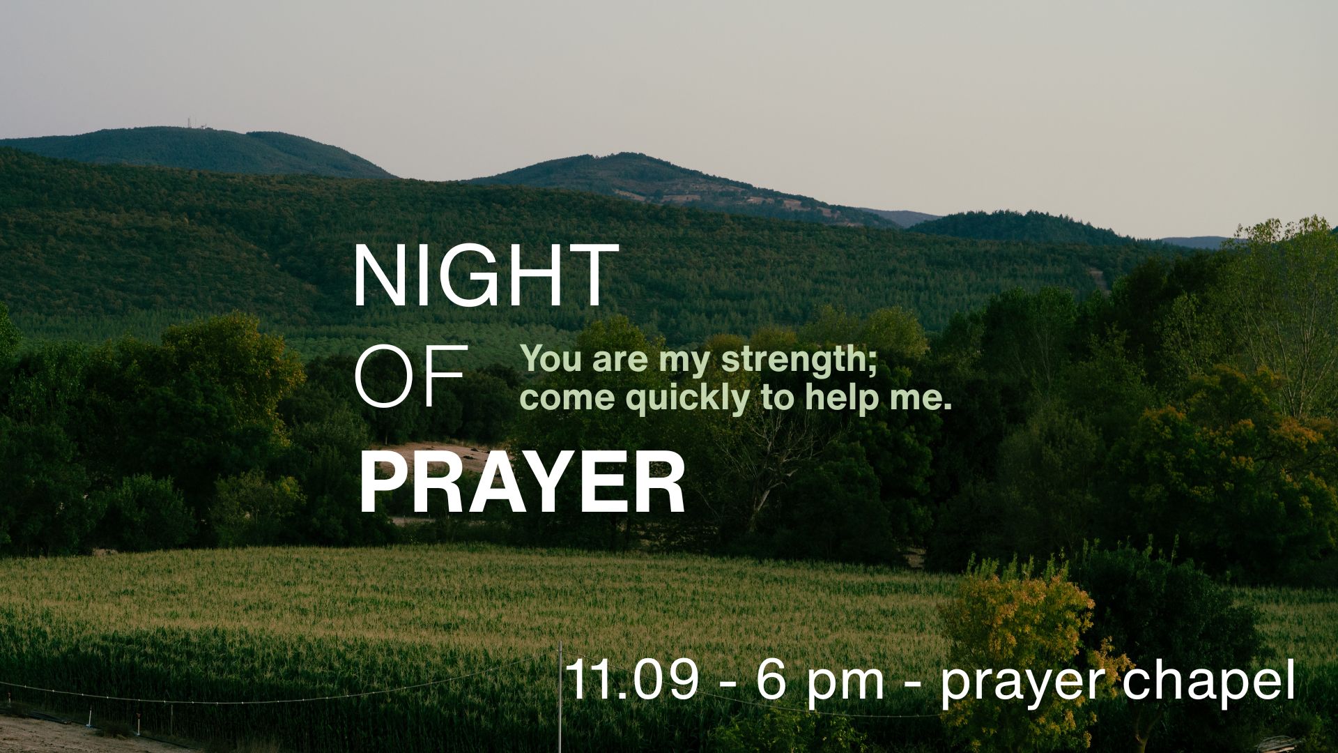 USF Chili ProclaimWebsite